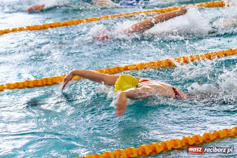 Zdjęcie w galerii na portalu naszraciborz.pl: Międzynarodowe Zawody Pływackie o Puchar Prezesa MKS SMS Victoria Racibórz  wiadomości z regionu