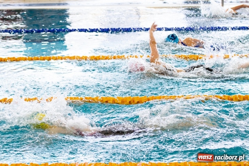 Zdjęcie w galerii na portalu naszraciborz.pl: Międzynarodowe Zawody Pływackie o Puchar Prezesa MKS SMS Victoria Racibórz  wiadomości z regionu