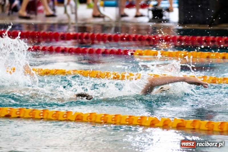 Zdjęcie w galerii na portalu naszraciborz.pl: Międzynarodowe Zawody Pływackie o Puchar Prezesa MKS SMS Victoria Racibórz  wiadomości z regionu