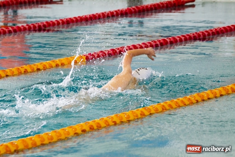 Zdjęcie w galerii na portalu naszraciborz.pl: Międzynarodowe Zawody Pływackie o Puchar Prezesa MKS SMS Victoria Racibórz  wiadomości z regionu
