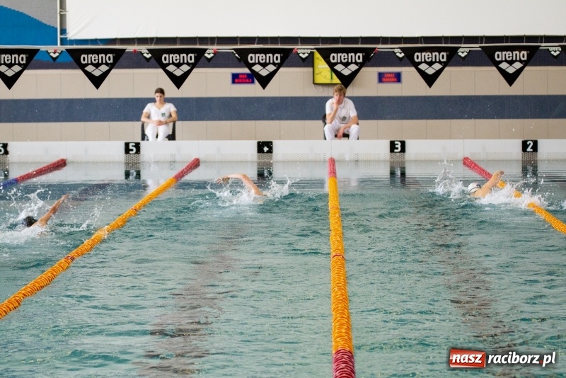 Zdjęcie w galerii na portalu naszraciborz.pl: Międzynarodowe Zawody Pływackie o Puchar Prezesa MKS SMS Victoria Racibórz  wiadomości z regionu