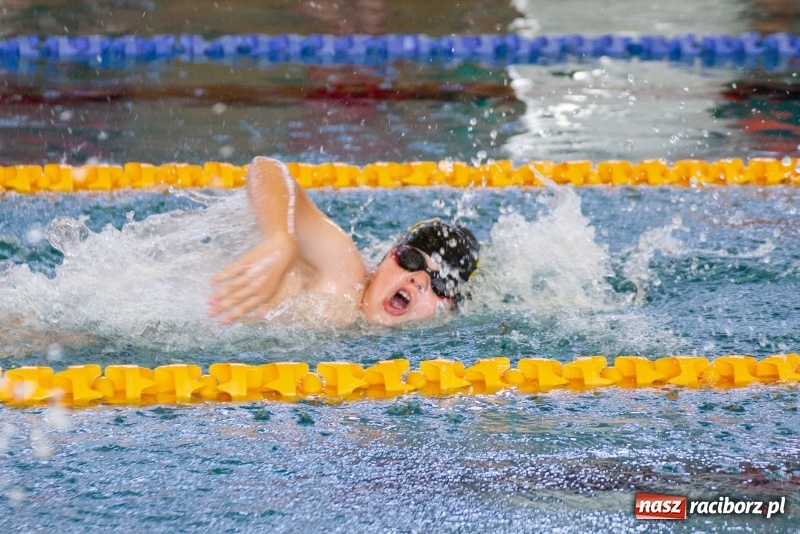 Zdjęcie w galerii na portalu naszraciborz.pl: Międzynarodowe Zawody Pływackie o Puchar Prezesa MKS SMS Victoria Racibórz  wiadomości z regionu