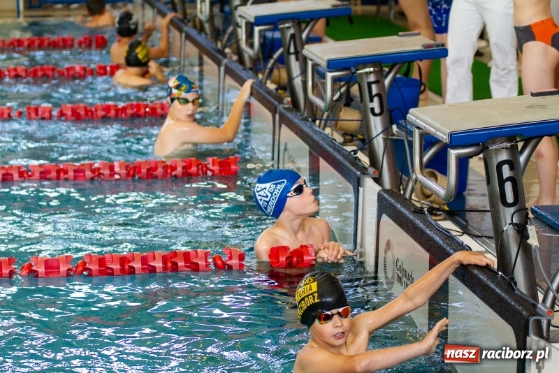 Zdjęcie w galerii na portalu naszraciborz.pl: Międzynarodowe Zawody Pływackie o Puchar Prezesa MKS SMS Victoria Racibórz  wiadomości z regionu