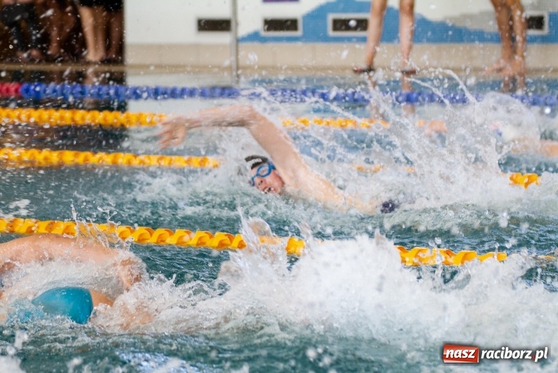 Zdjęcie w galerii na portalu naszraciborz.pl: Międzynarodowe Zawody Pływackie o Puchar Prezesa MKS SMS Victoria Racibórz  wiadomości z regionu