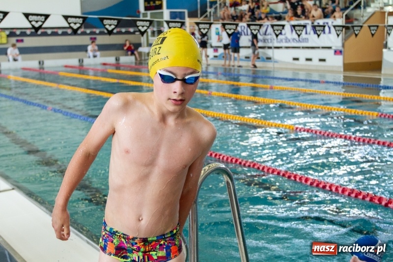 Zdjęcie w galerii na portalu naszraciborz.pl: Międzynarodowe Zawody Pływackie o Puchar Prezesa MKS SMS Victoria Racibórz  wiadomości z regionu