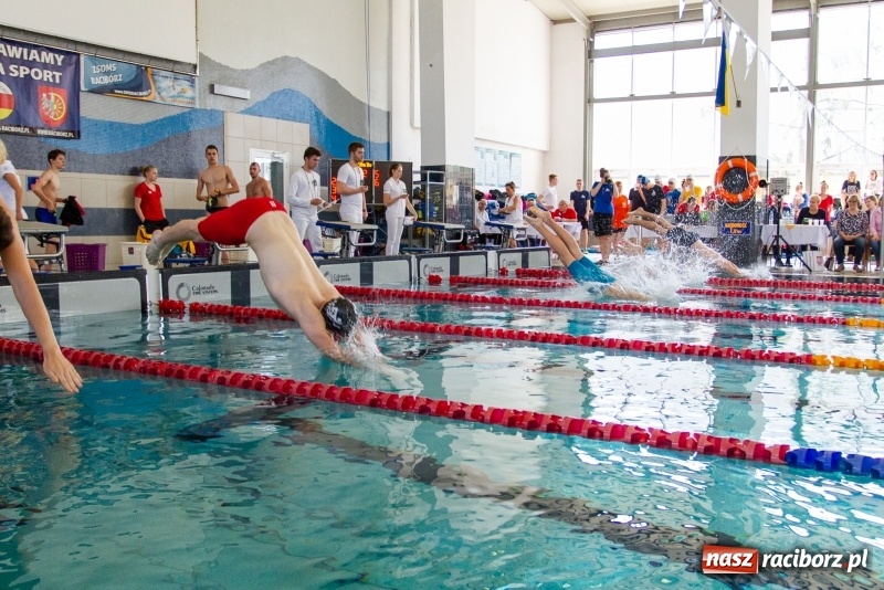 Zdjęcie w galerii na portalu naszraciborz.pl: Międzynarodowe Zawody Pływackie o Puchar Prezesa MKS SMS Victoria Racibórz  wiadomości z regionu