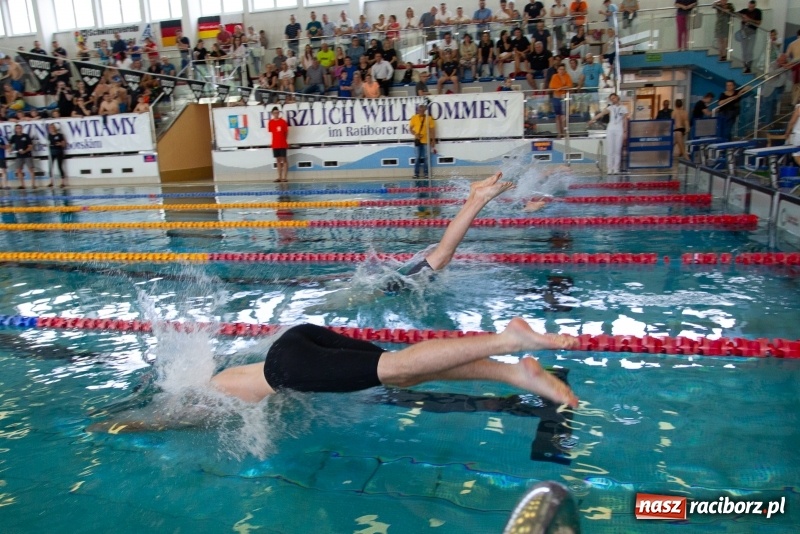 Zdjęcie w galerii na portalu naszraciborz.pl: Międzynarodowe Zawody Pływackie o Puchar Prezesa MKS SMS Victoria Racibórz  wiadomości z regionu