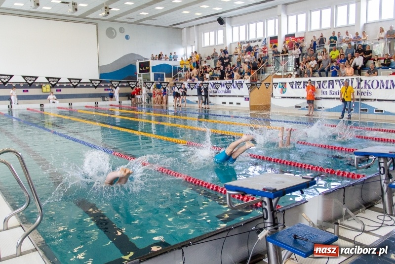 Zdjęcie w galerii na portalu naszraciborz.pl: Międzynarodowe Zawody Pływackie o Puchar Prezesa MKS SMS Victoria Racibórz  wiadomości z regionu
