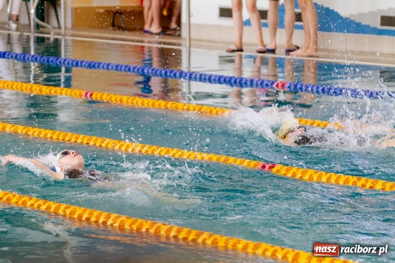 Zdjęcie w galerii na portalu naszraciborz.pl: Międzynarodowe Zawody Pływackie o Puchar Prezesa MKS SMS Victoria Racibórz  wiadomości z regionu