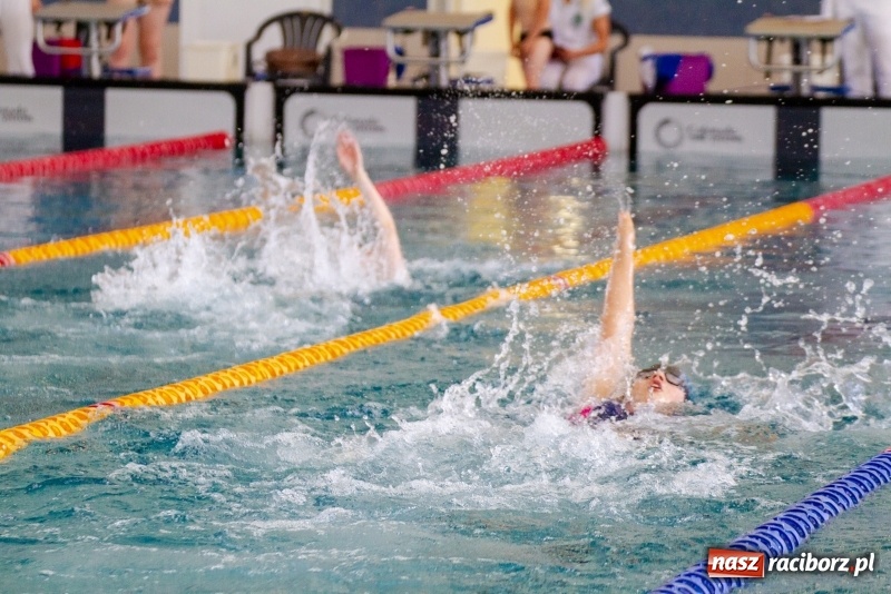 Zdjęcie w galerii na portalu naszraciborz.pl: Międzynarodowe Zawody Pływackie o Puchar Prezesa MKS SMS Victoria Racibórz  wiadomości z regionu