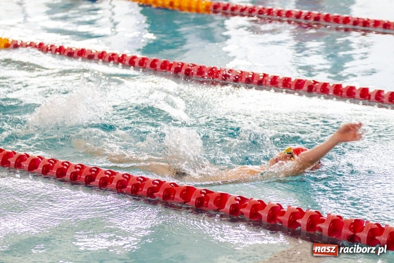 Zdjęcie w galerii na portalu naszraciborz.pl: Międzynarodowe Zawody Pływackie o Puchar Prezesa MKS SMS Victoria Racibórz  wiadomości z regionu
