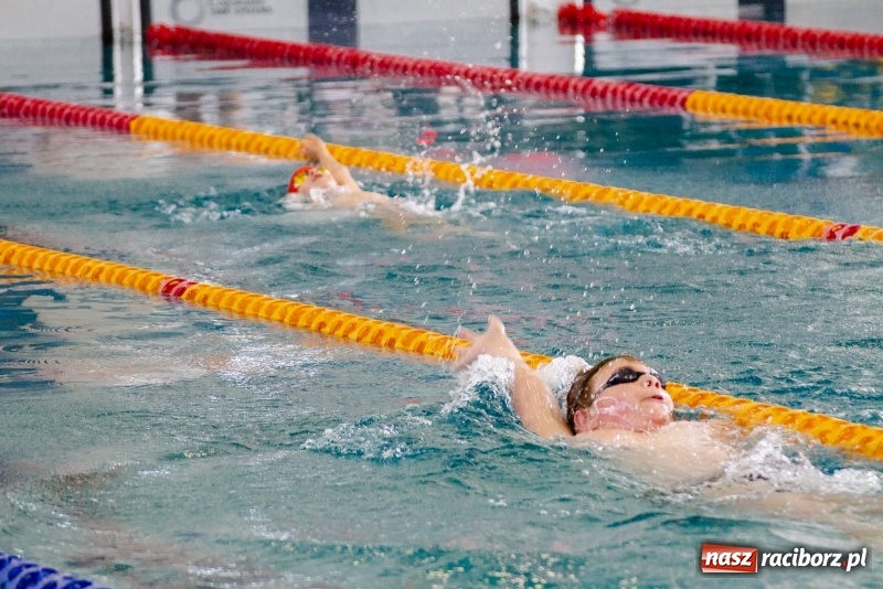 Zdjęcie w galerii na portalu naszraciborz.pl: Międzynarodowe Zawody Pływackie o Puchar Prezesa MKS SMS Victoria Racibórz  wiadomości z regionu