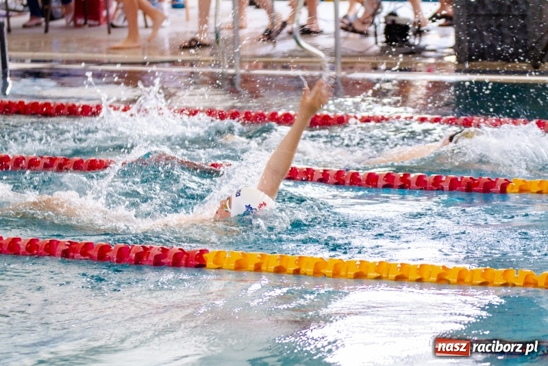 Zdjęcie w galerii na portalu naszraciborz.pl: Międzynarodowe Zawody Pływackie o Puchar Prezesa MKS SMS Victoria Racibórz  wiadomości z regionu