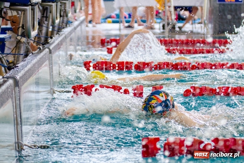 Zdjęcie w galerii na portalu naszraciborz.pl: Międzynarodowe Zawody Pływackie o Puchar Prezesa MKS SMS Victoria Racibórz  wiadomości z regionu