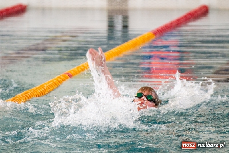 Zdjęcie w galerii na portalu naszraciborz.pl: Międzynarodowe Zawody Pływackie o Puchar Prezesa MKS SMS Victoria Racibórz  wiadomości z regionu