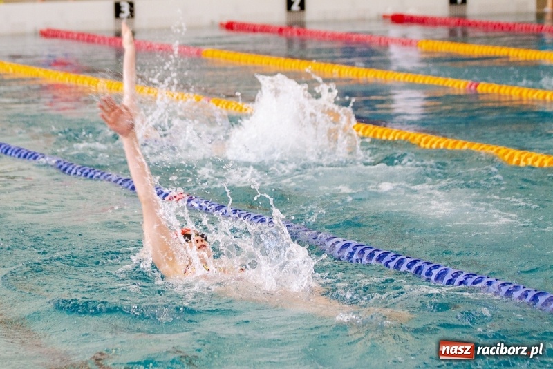 Zdjęcie w galerii na portalu naszraciborz.pl: Międzynarodowe Zawody Pływackie o Puchar Prezesa MKS SMS Victoria Racibórz  wiadomości z regionu
