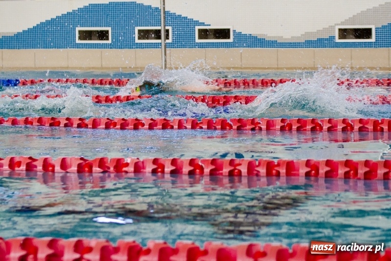 Zdjęcie w galerii na portalu naszraciborz.pl: Międzynarodowe Zawody Pływackie o Puchar Prezesa MKS SMS Victoria Racibórz  wiadomości z regionu