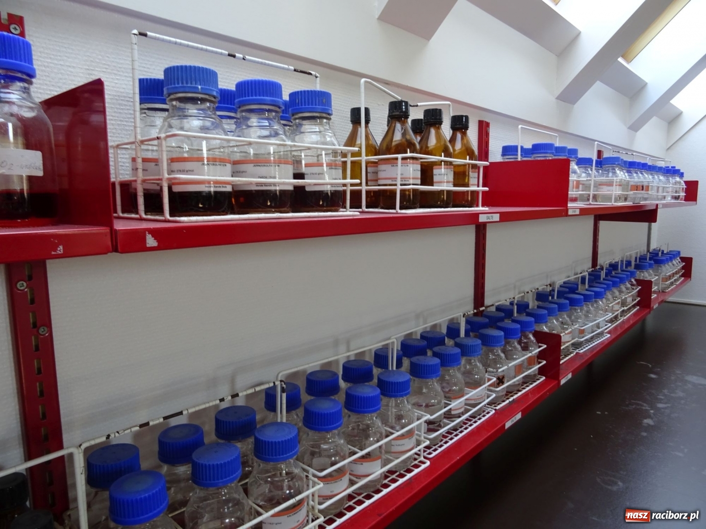 Zdjęcie w galerii na portalu naszraciborz.pl: Nauczycielki szkoły w Tworkowie na spotkaniu koordynatorów w Danii wiadomości z regionu