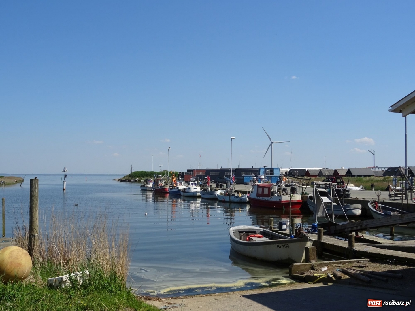 Zdjęcie w galerii na portalu naszraciborz.pl: Nauczycielki szkoły w Tworkowie na spotkaniu koordynatorów w Danii wiadomości z regionu