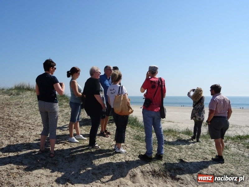 Zdjęcie w galerii na portalu naszraciborz.pl: Nauczycielki szkoły w Tworkowie na spotkaniu koordynatorów w Danii wiadomości z regionu