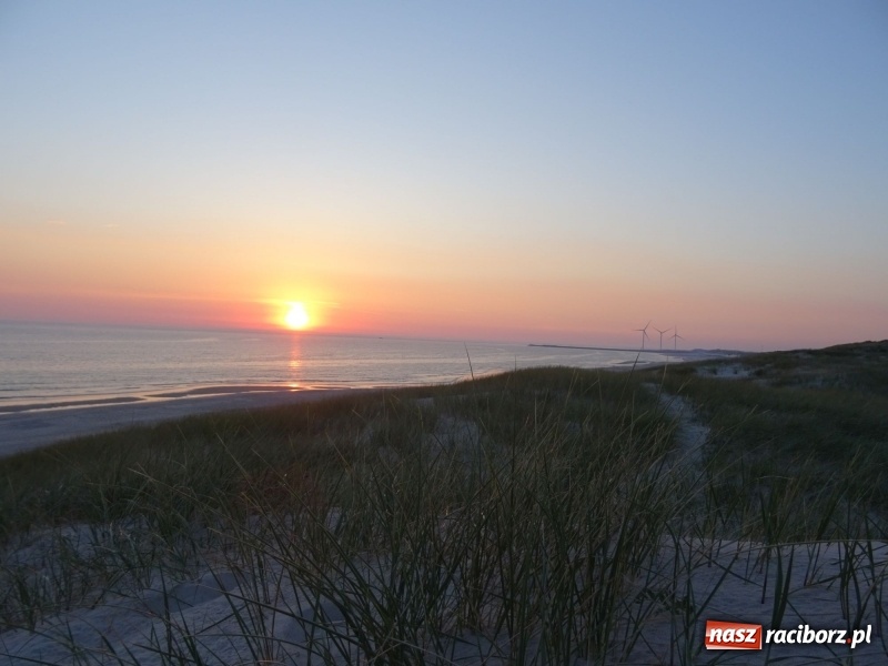 Zdjęcie w galerii na portalu naszraciborz.pl: Nauczycielki szkoły w Tworkowie na spotkaniu koordynatorów w Danii wiadomości z regionu