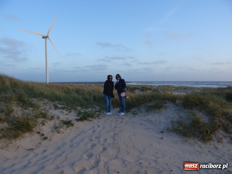 Zdjęcie w galerii na portalu naszraciborz.pl: Nauczycielki szkoły w Tworkowie na spotkaniu koordynatorów w Danii wiadomości z regionu
