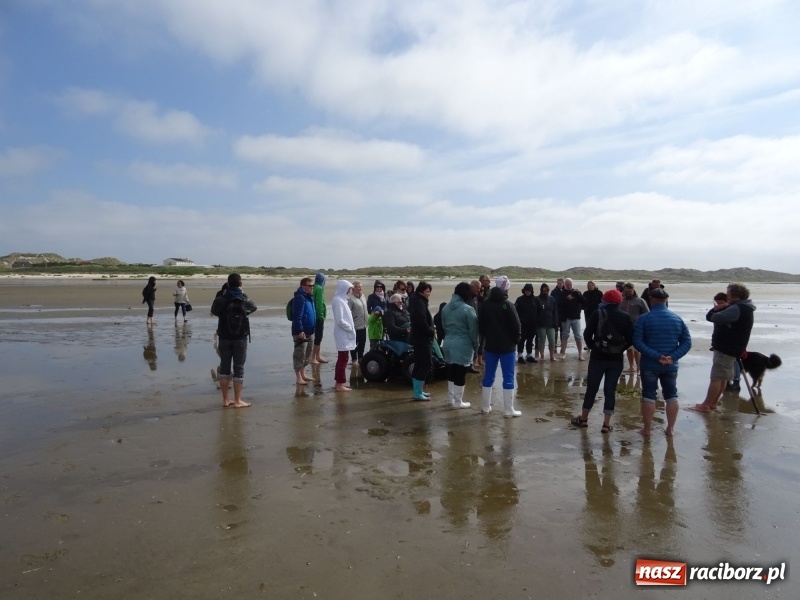 Zdjęcie w galerii na portalu naszraciborz.pl: Nauczycielki szkoły w Tworkowie na spotkaniu koordynatorów w Danii wiadomości z regionu
