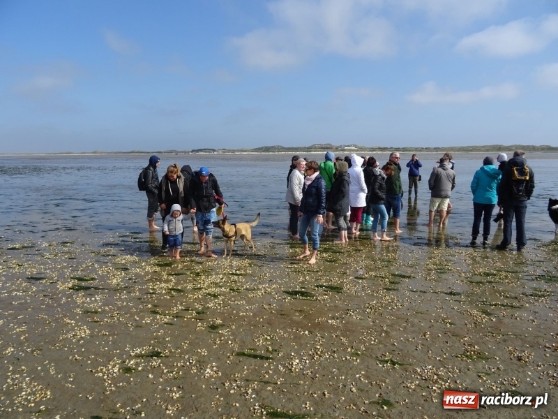 Zdjęcie w galerii na portalu naszraciborz.pl: Nauczycielki szkoły w Tworkowie na spotkaniu koordynatorów w Danii wiadomości z regionu