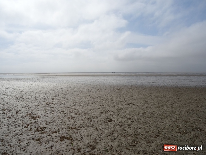 Zdjęcie w galerii na portalu naszraciborz.pl: Nauczycielki szkoły w Tworkowie na spotkaniu koordynatorów w Danii wiadomości z regionu