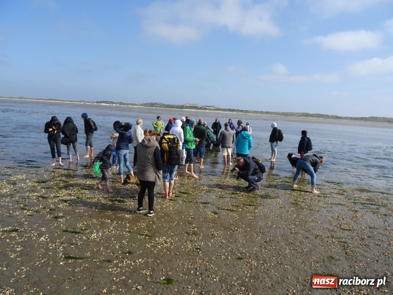 Zdjęcie w galerii na portalu naszraciborz.pl: Nauczycielki szkoły w Tworkowie na spotkaniu koordynatorów w Danii wiadomości z regionu
