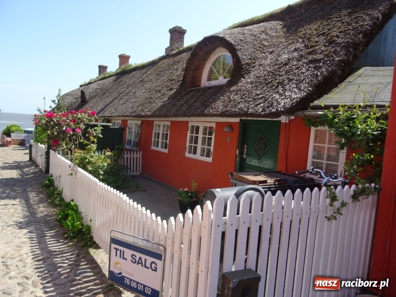 Zdjęcie w galerii na portalu naszraciborz.pl: Nauczycielki szkoły w Tworkowie na spotkaniu koordynatorów w Danii wiadomości z regionu