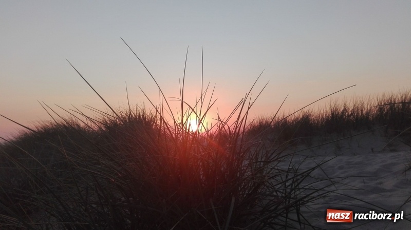 Zdjęcie w galerii na portalu naszraciborz.pl: Nauczycielki szkoły w Tworkowie na spotkaniu koordynatorów w Danii wiadomości z regionu