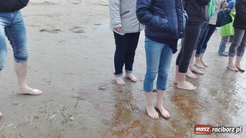 Zdjęcie w galerii na portalu naszraciborz.pl: Nauczycielki szkoły w Tworkowie na spotkaniu koordynatorów w Danii wiadomości z regionu