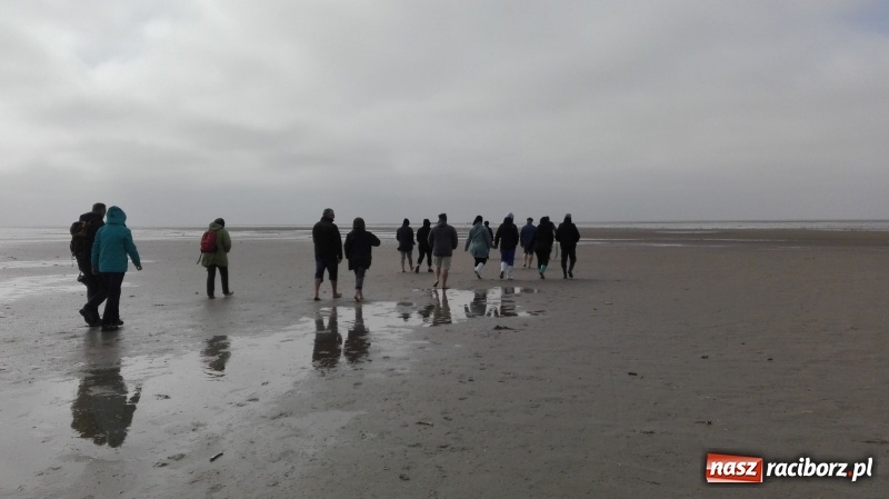 Zdjęcie w galerii na portalu naszraciborz.pl: Nauczycielki szkoły w Tworkowie na spotkaniu koordynatorów w Danii wiadomości z regionu