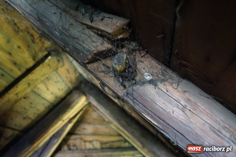 Zdjęcie w galerii na portalu naszraciborz.pl: Dużo się o nim ostatnio pisze. Będzie można go zwiedzić wiadomości z regionu