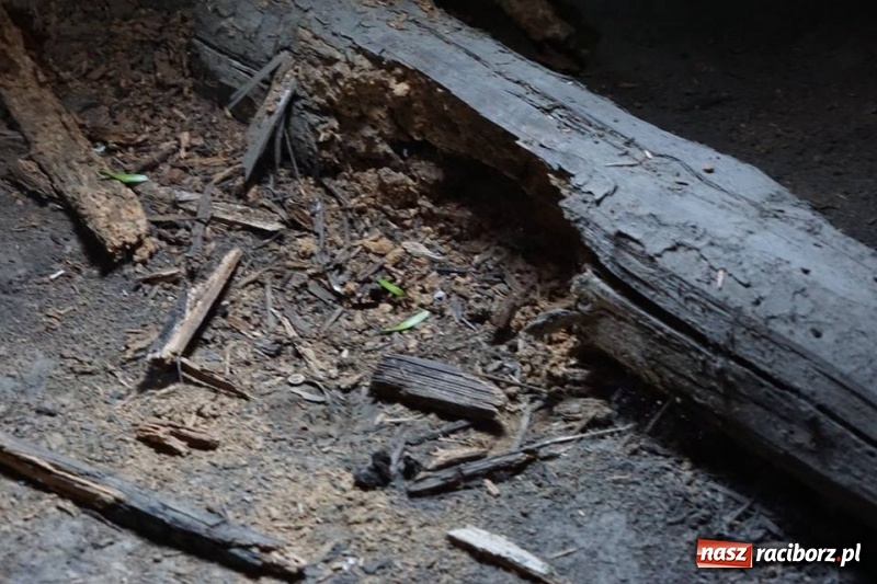 Zdjęcie w galerii na portalu naszraciborz.pl: Dużo się o nim ostatnio pisze. Będzie można go zwiedzić wiadomości z regionu