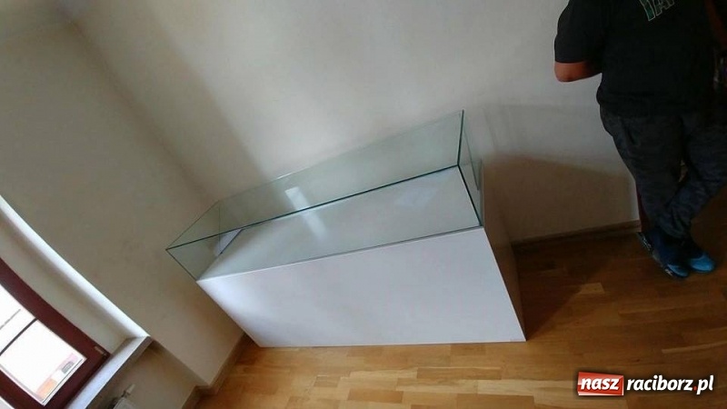 Zdjęcie w galerii na portalu naszraciborz.pl: Na raciborski zamek trafią skarby. Pomoże Stowarzyszenie Odra 1945  wiadomości z regionu