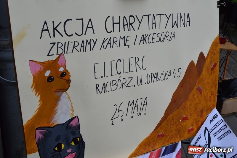 Zdjęcie w galerii na portalu naszraciborz.pl: Moc atrakcji na Pikniku Rodzinnym w SP 4 wiadomości z regionu