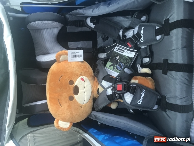 Zdjęcie w galerii na portalu naszraciborz.pl: Przyczepka rowerowa dla dzieci. Czym kierować się przy wyborze? wiadomości z regionu