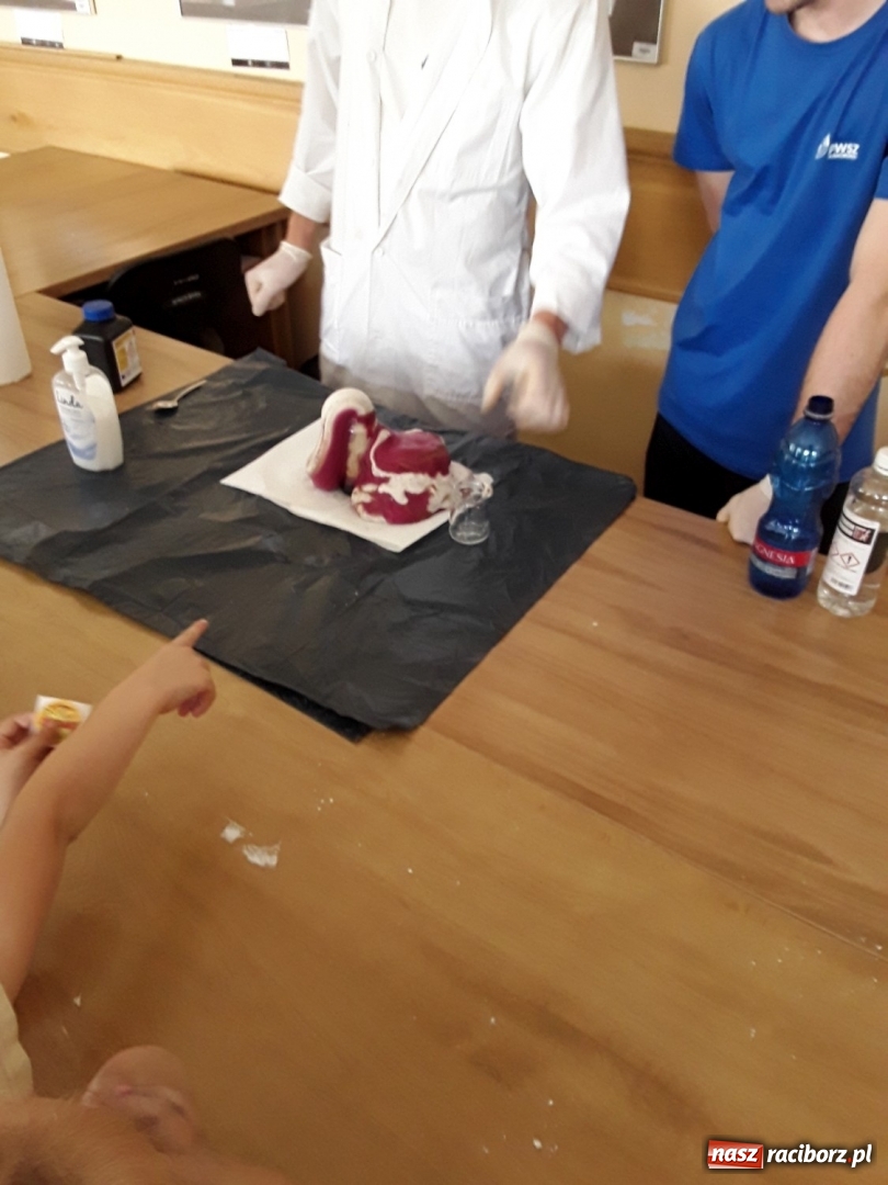 Zdjęcie w galerii na portalu naszraciborz.pl: Dzień Dziecka z Instytutem Techniki PWSZ wiadomości z regionu