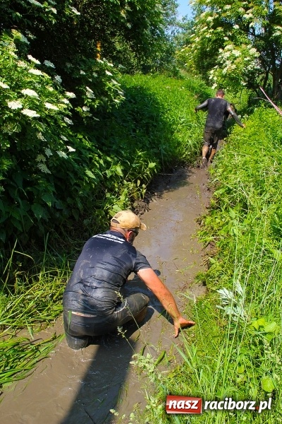 Zdjęcie w galerii na portalu naszraciborz.pl: I Bieg Cichociemnych w Raciborzu. Trasa wyciskała ostatnie poty FOTO i WIDEO wiadomości z regionu