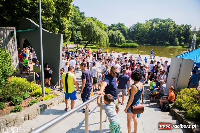Zdjęcie w galerii na portalu naszraciborz.pl: Upał im niestraszny. Setki młodych biegaczy na starcie Raciborskiego Biegu Profilaktycznego  wiadomości z regionu