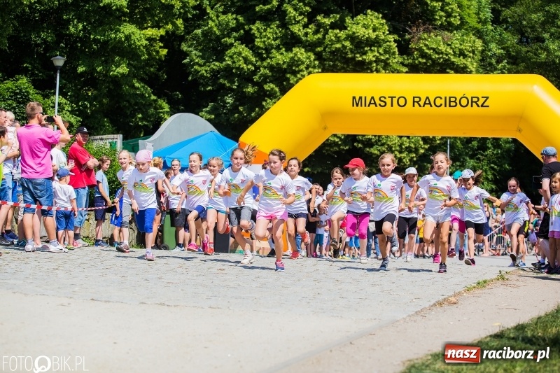 Zdjęcie w galerii na portalu naszraciborz.pl: Upał im niestraszny. Setki młodych biegaczy na starcie Raciborskiego Biegu Profilaktycznego  wiadomości z regionu