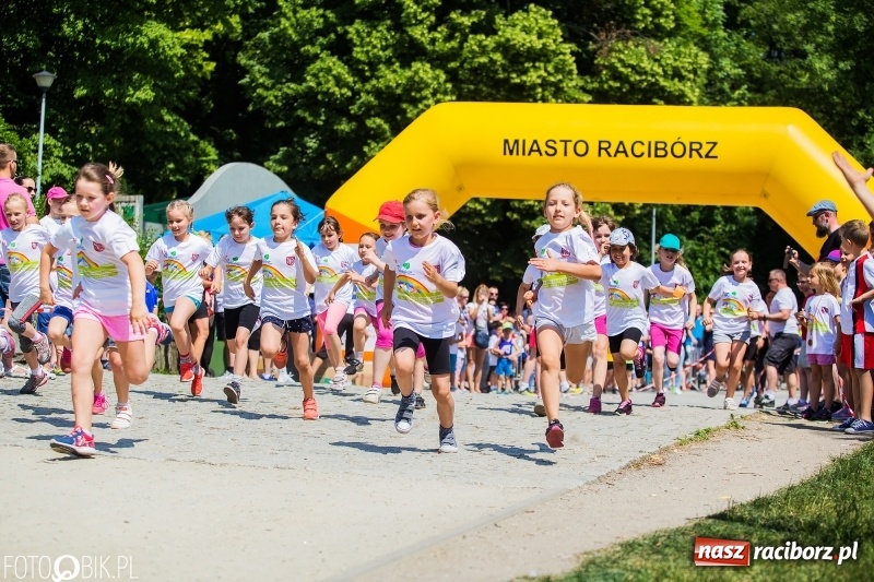 Zdjęcie w galerii na portalu naszraciborz.pl: Upał im niestraszny. Setki młodych biegaczy na starcie Raciborskiego Biegu Profilaktycznego  wiadomości z regionu