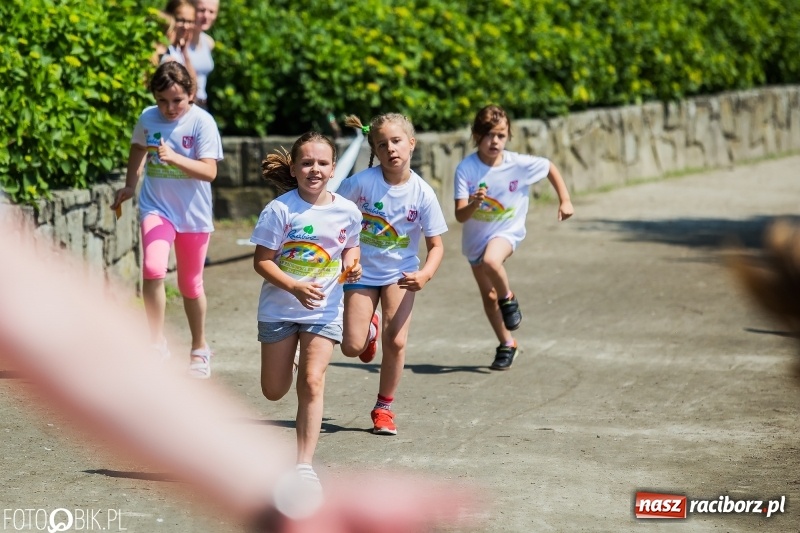 Zdjęcie w galerii na portalu naszraciborz.pl: Upał im niestraszny. Setki młodych biegaczy na starcie Raciborskiego Biegu Profilaktycznego  wiadomości z regionu
