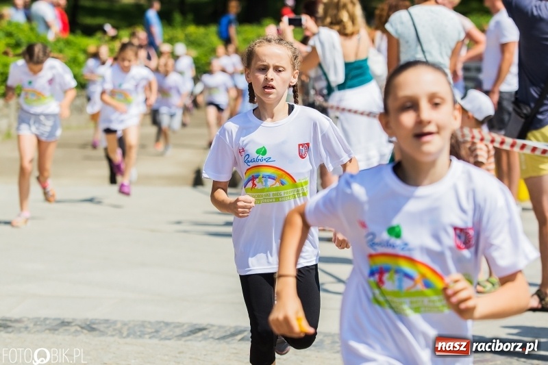 Zdjęcie w galerii na portalu naszraciborz.pl: Upał im niestraszny. Setki młodych biegaczy na starcie Raciborskiego Biegu Profilaktycznego  wiadomości z regionu