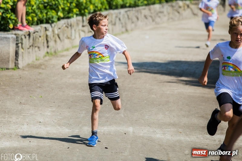 Zdjęcie w galerii na portalu naszraciborz.pl: Upał im niestraszny. Setki młodych biegaczy na starcie Raciborskiego Biegu Profilaktycznego  wiadomości z regionu