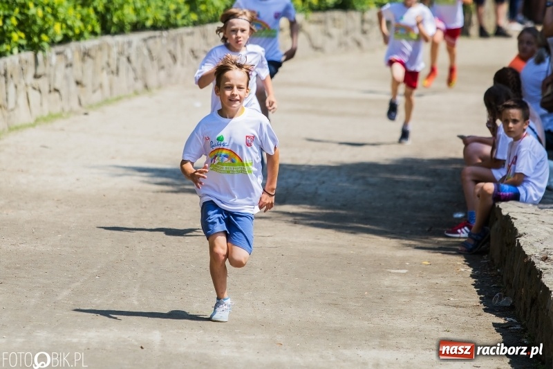Zdjęcie w galerii na portalu naszraciborz.pl: Upał im niestraszny. Setki młodych biegaczy na starcie Raciborskiego Biegu Profilaktycznego  wiadomości z regionu
