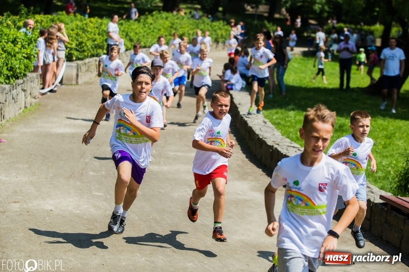 Zdjęcie w galerii na portalu naszraciborz.pl: Upał im niestraszny. Setki młodych biegaczy na starcie Raciborskiego Biegu Profilaktycznego  wiadomości z regionu