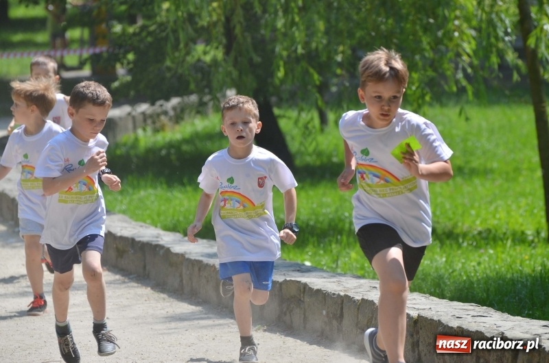 Zdjęcie w galerii na portalu naszraciborz.pl: Upał im niestraszny. Setki młodych biegaczy na starcie Raciborskiego Biegu Profilaktycznego  wiadomości z regionu